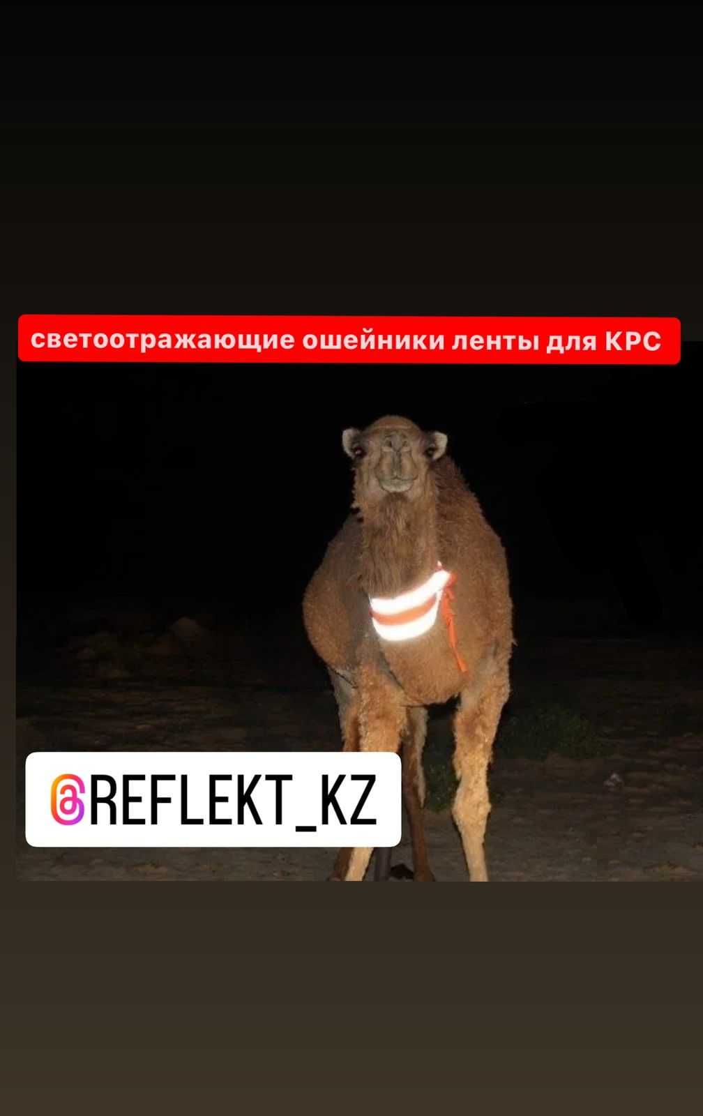 Светоотражающая лента для вашего скота КРС доставка по РК
