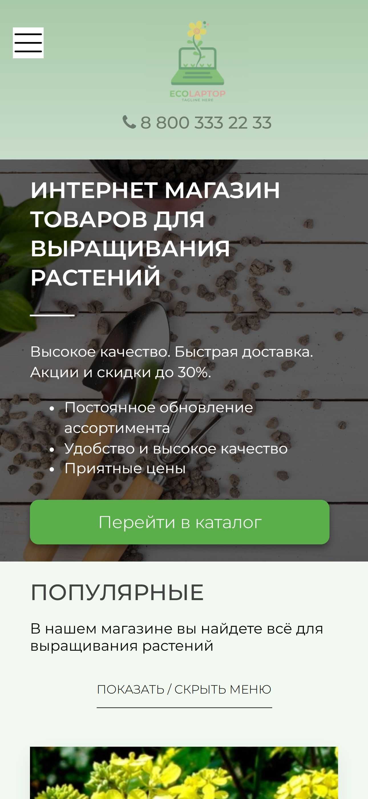 Создание сайта, лендинг, визиточный. Разработка сайта.