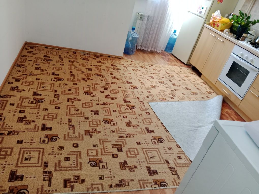 Продам палас размер 3 м на 2 м за 5000 тенге окончательно.