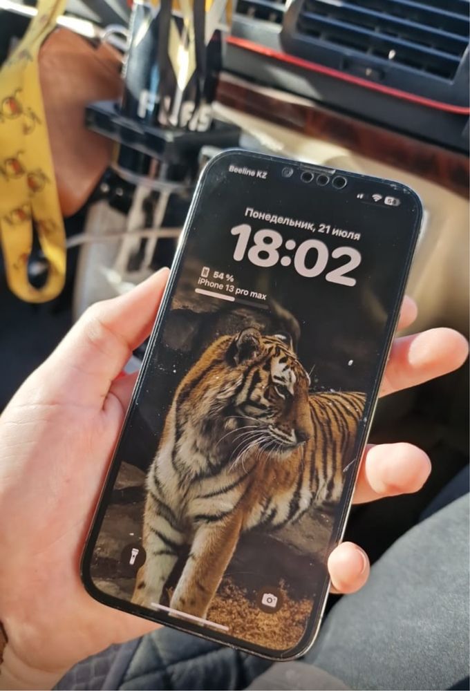 Iphone 13 pro max айфон 13 про мах