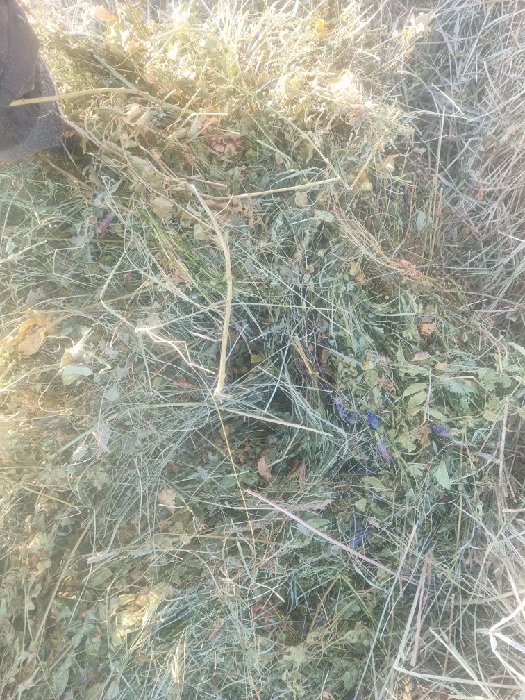 Сено ТЮКАХ Луговое