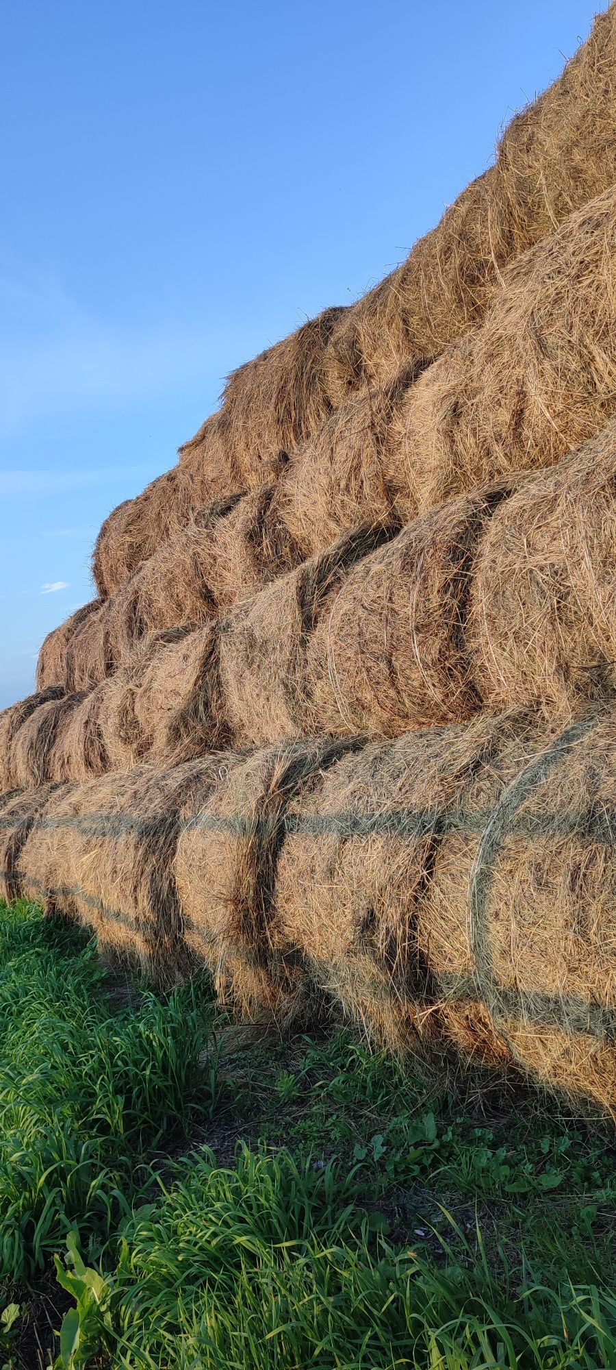 Продам сено в тюках