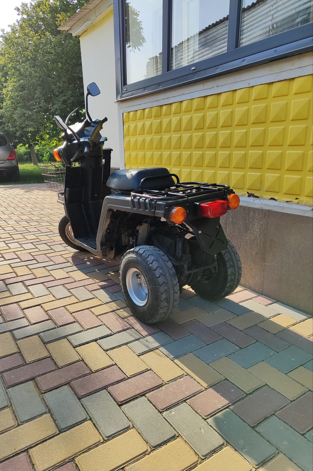 Чистокровный японец HONDA