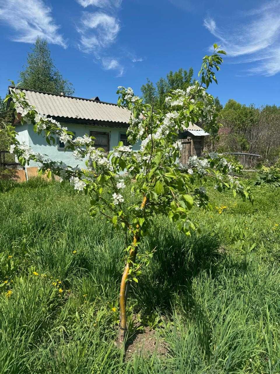 Продам дачу в Кожохово
