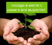 Навоз Перегной Чернозём