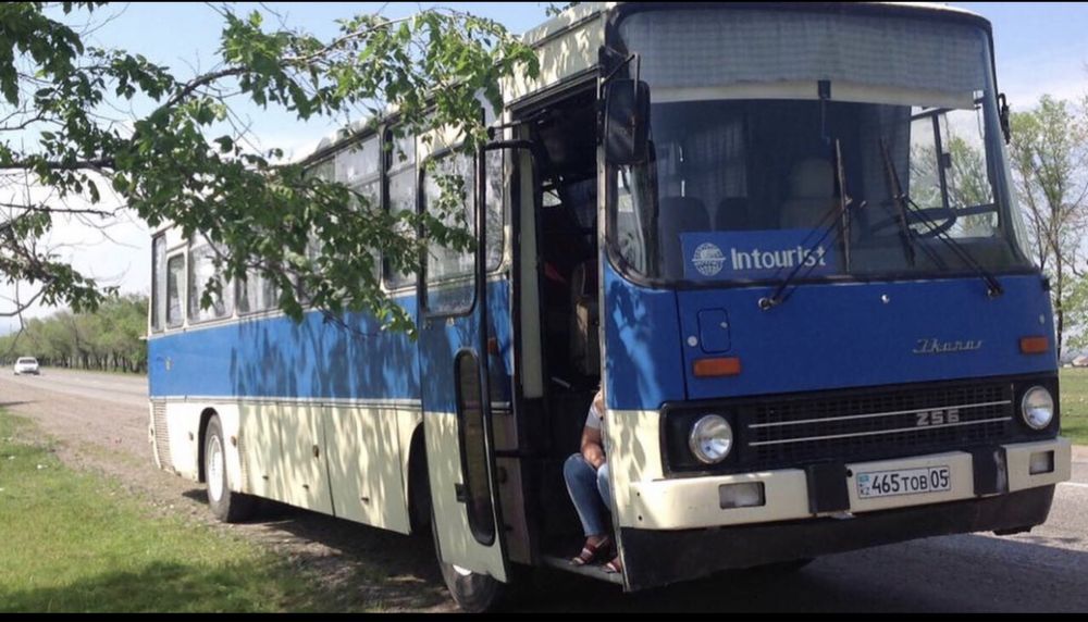 Икарус 256 ретро автобус ретро авто СССР советский ретро