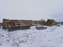 Продам пшеничную солому в рулонах.