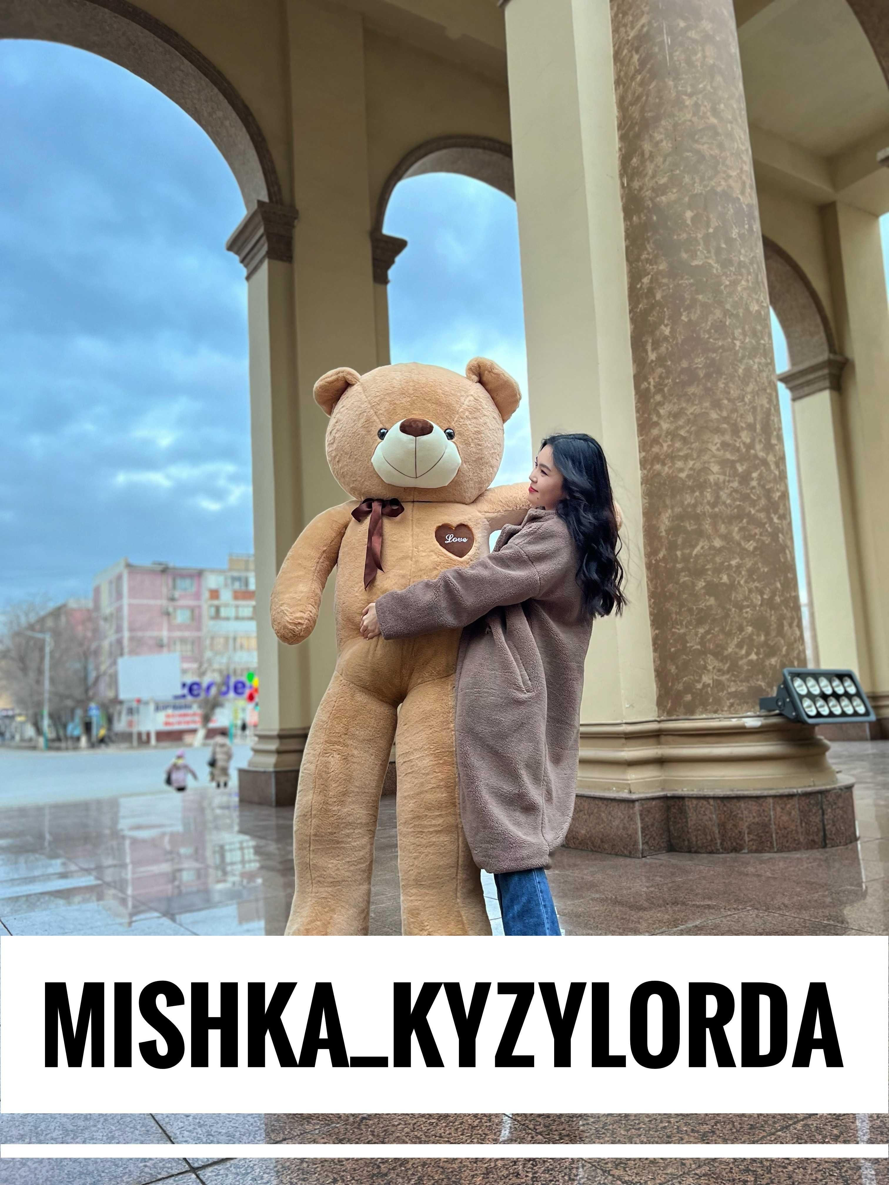 Мишки (жұмсақ аюлар) Ең үздік баға Қызылордада