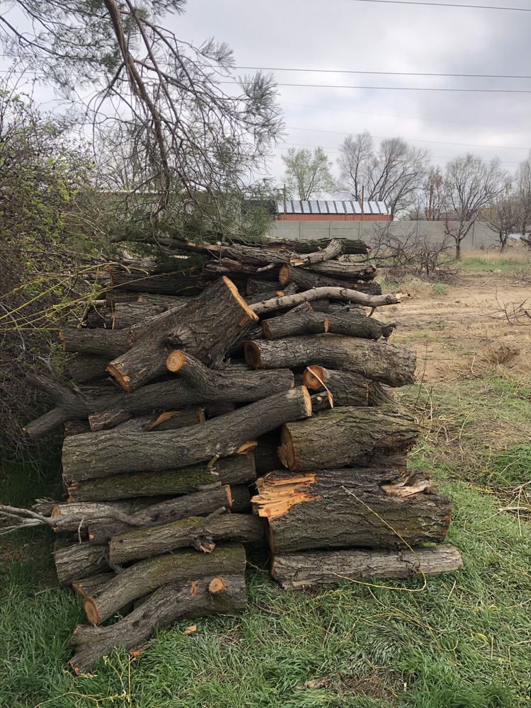 Продам дрова фруктовые (яблоко) 1 мешок - 1000 тг.,