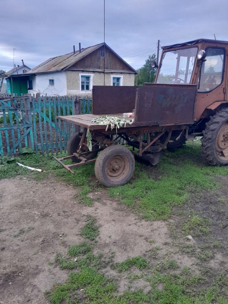 Продам трактор т16