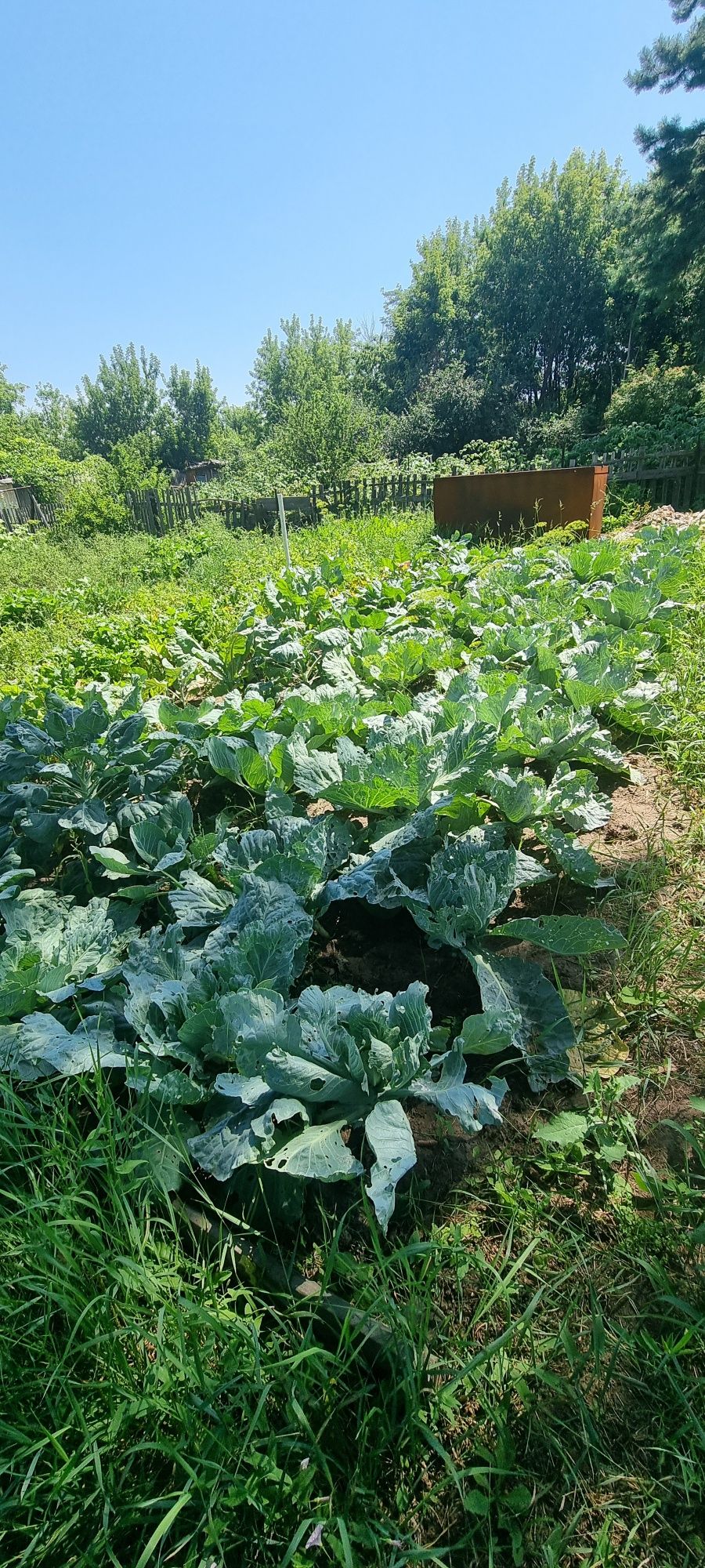 Продам дачу .Сад Здоровье.