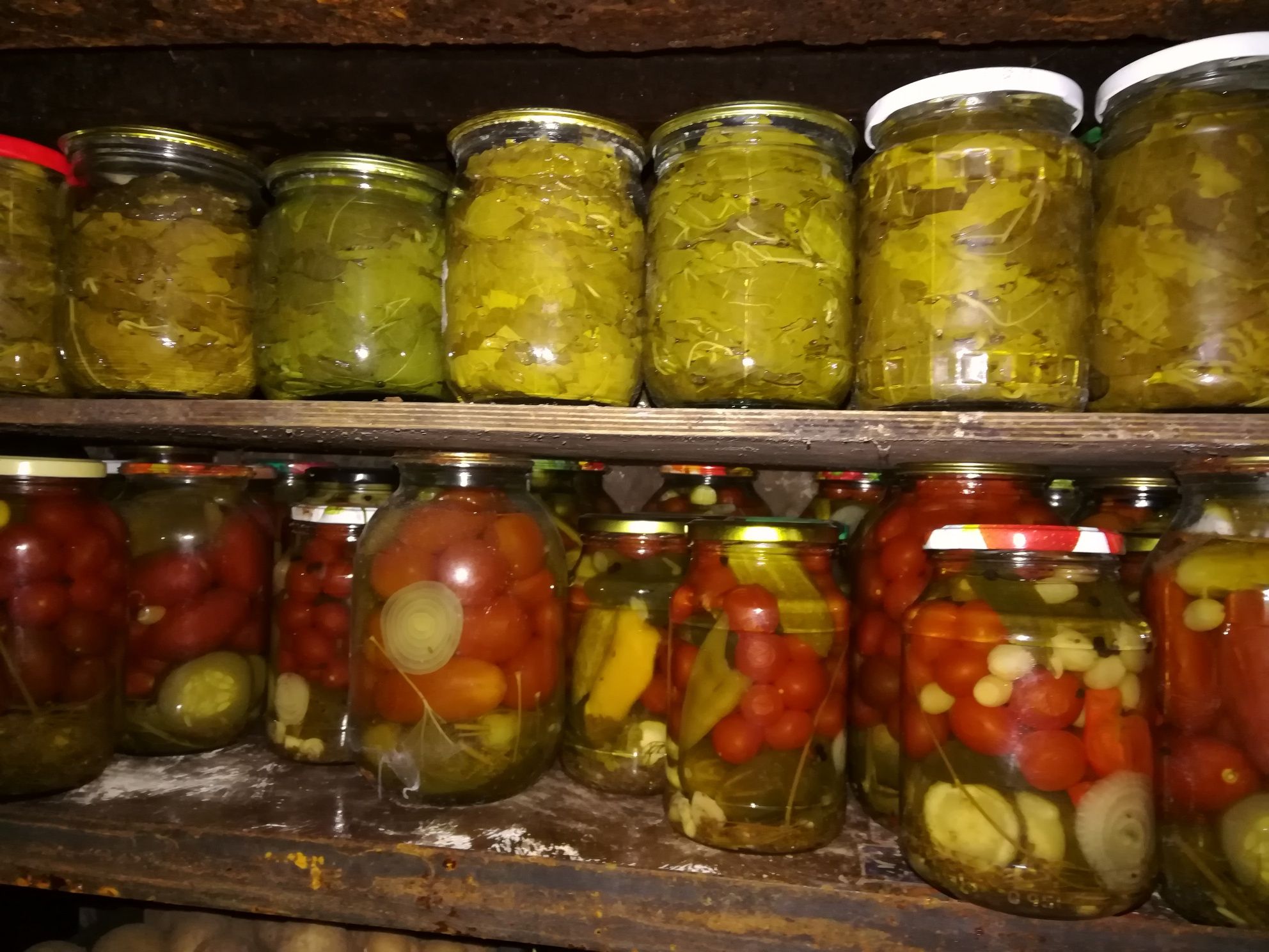Продам долму, виноградные листья.