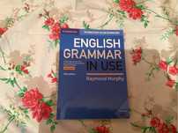English grammar in use (синий мерфи)