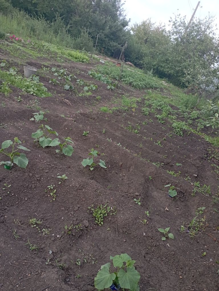 Продам дачу 2 дачная