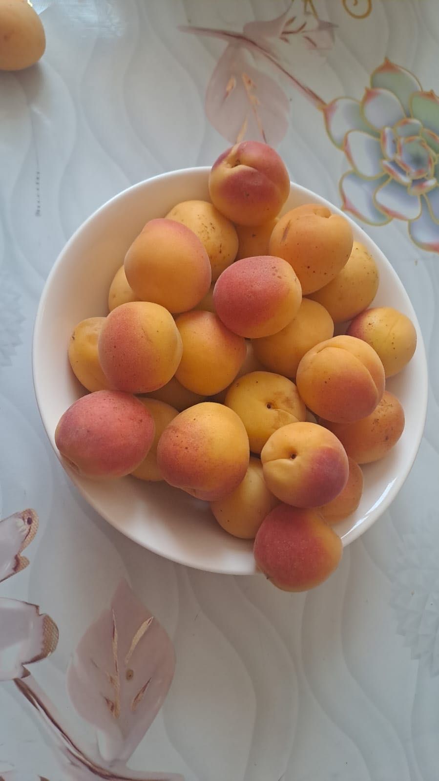 Продам вкусные абрикосы и яблоки со своего сада по приемлемой цене!