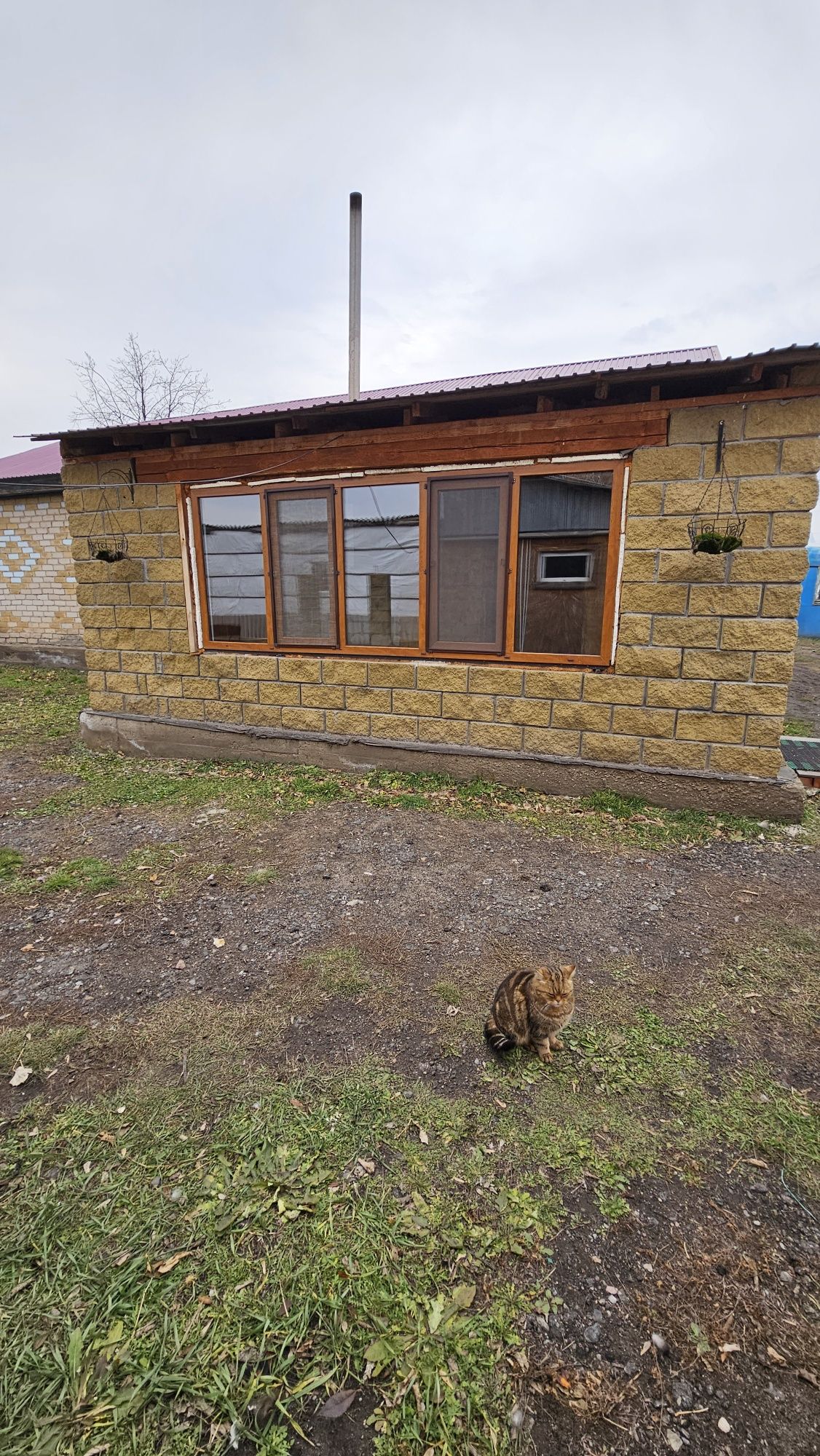 Продам дом с большим участком в Прибрежном
