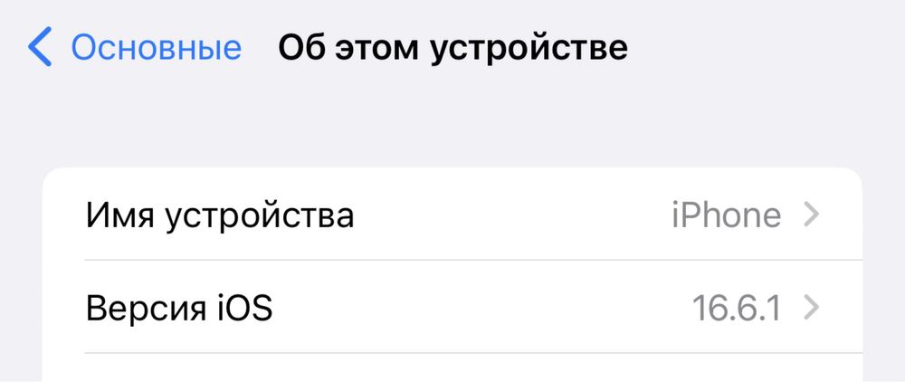 iPhone 12 Pro Max 256GB (Графитовый) – идеальное состояние!