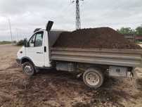 Продам перегной коровяк, конский