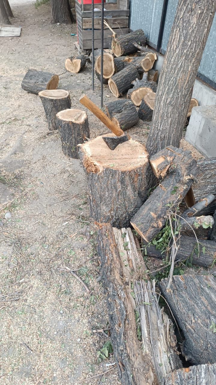 Дрова продам. Дешево