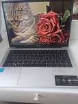 Ноутбук Acer Aspire L AL14-31P NX.KS9ER.001 14" 512Gb Silver