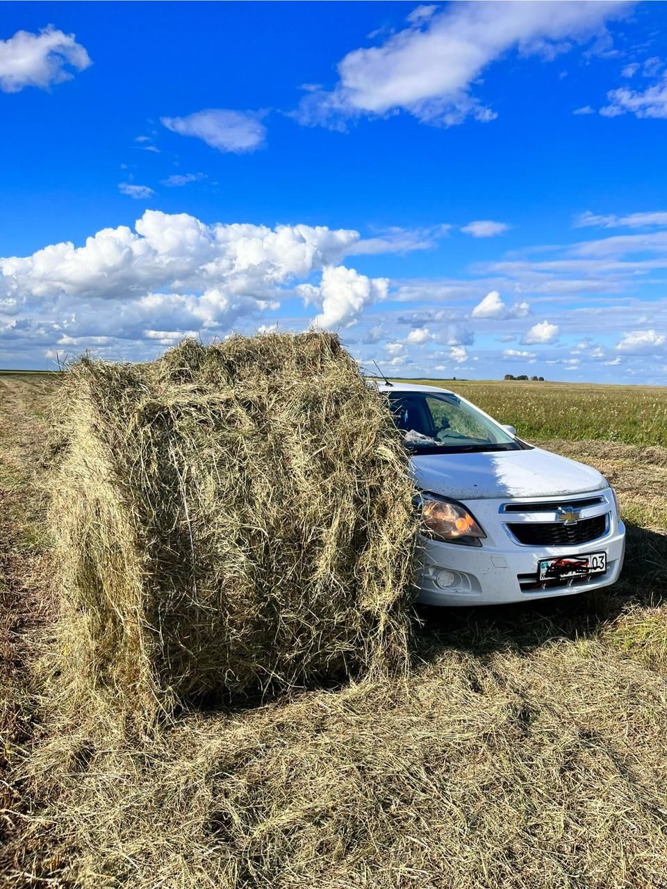 Тюки рулонные сено