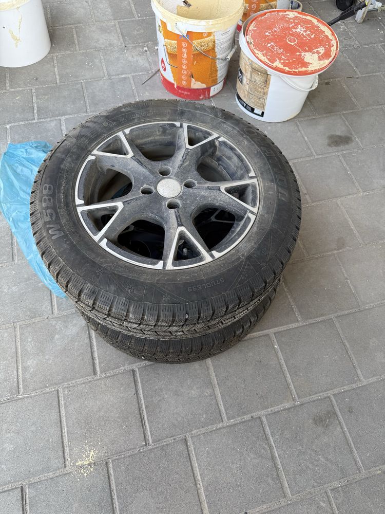Титанки зимние.