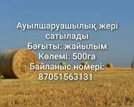 Жайылым , шабындық жер