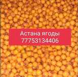 Облепиха ягоды жидек доставка по городу бесплатно тегін жеткізу.