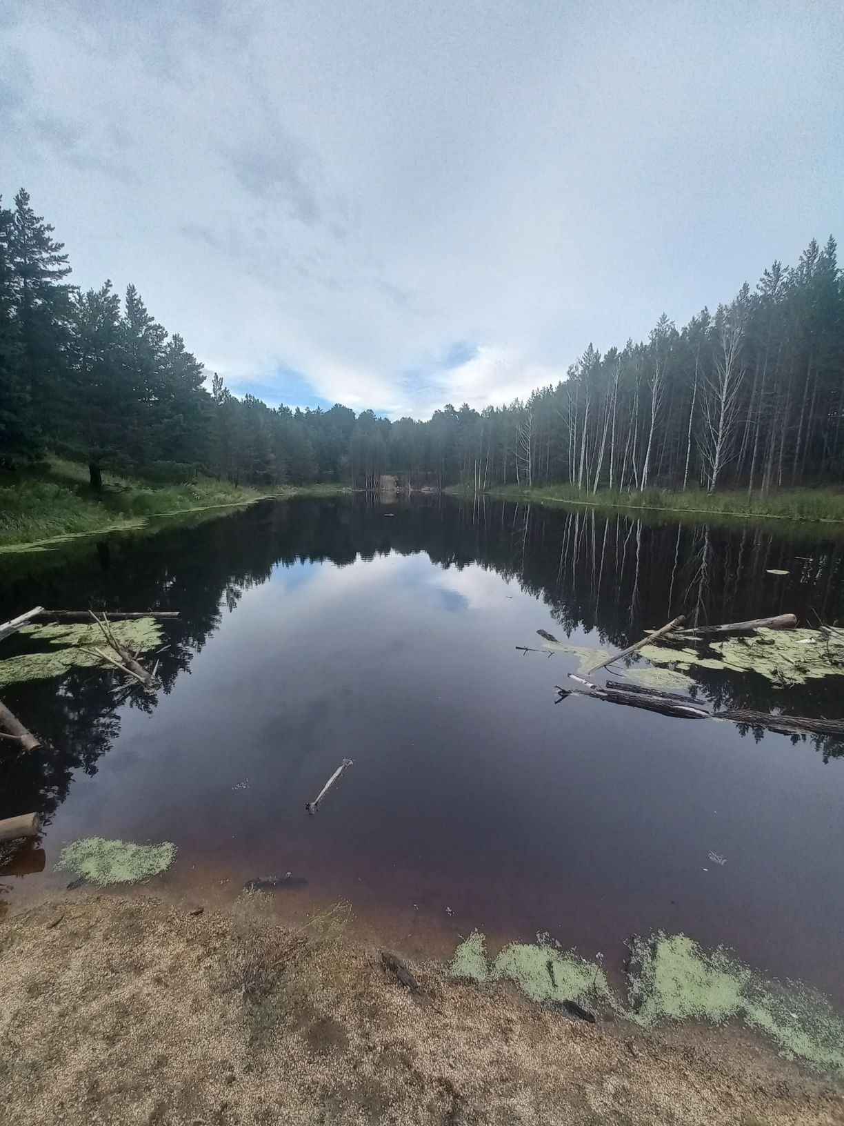 Продаем квартиру с сауной