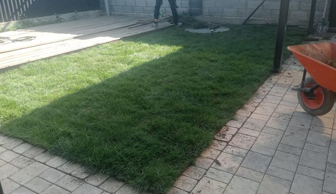 Газон от 1500 тг м², автополив и планировка