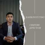 Банкротство физ. лиц и снятие арестов (юрист)
