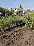 Продам дачу в СО"Ромашка СК"