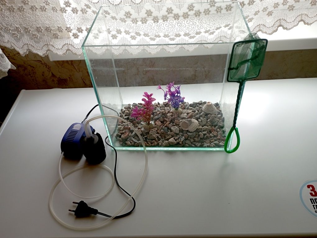 Новый аквариум .