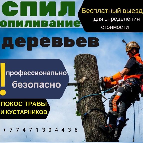 Спилить деревья, санитарная обрезка, кронирование.