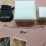 Браслет и Шармы Пандора Pandora