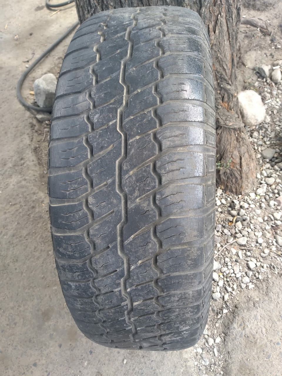 Продам одиночка срочно