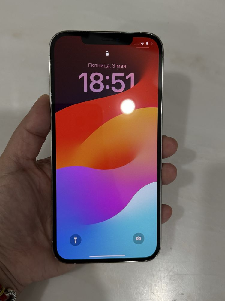 iPhone 12 Pro Max 256 ГБ Silver