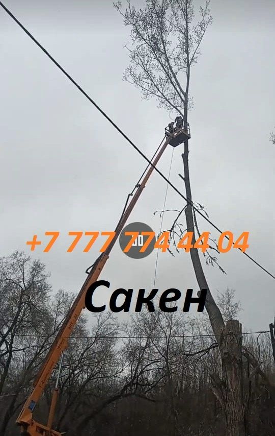Демонтаж снос старых домов.планировка участки. вывоз веток и мусор ,