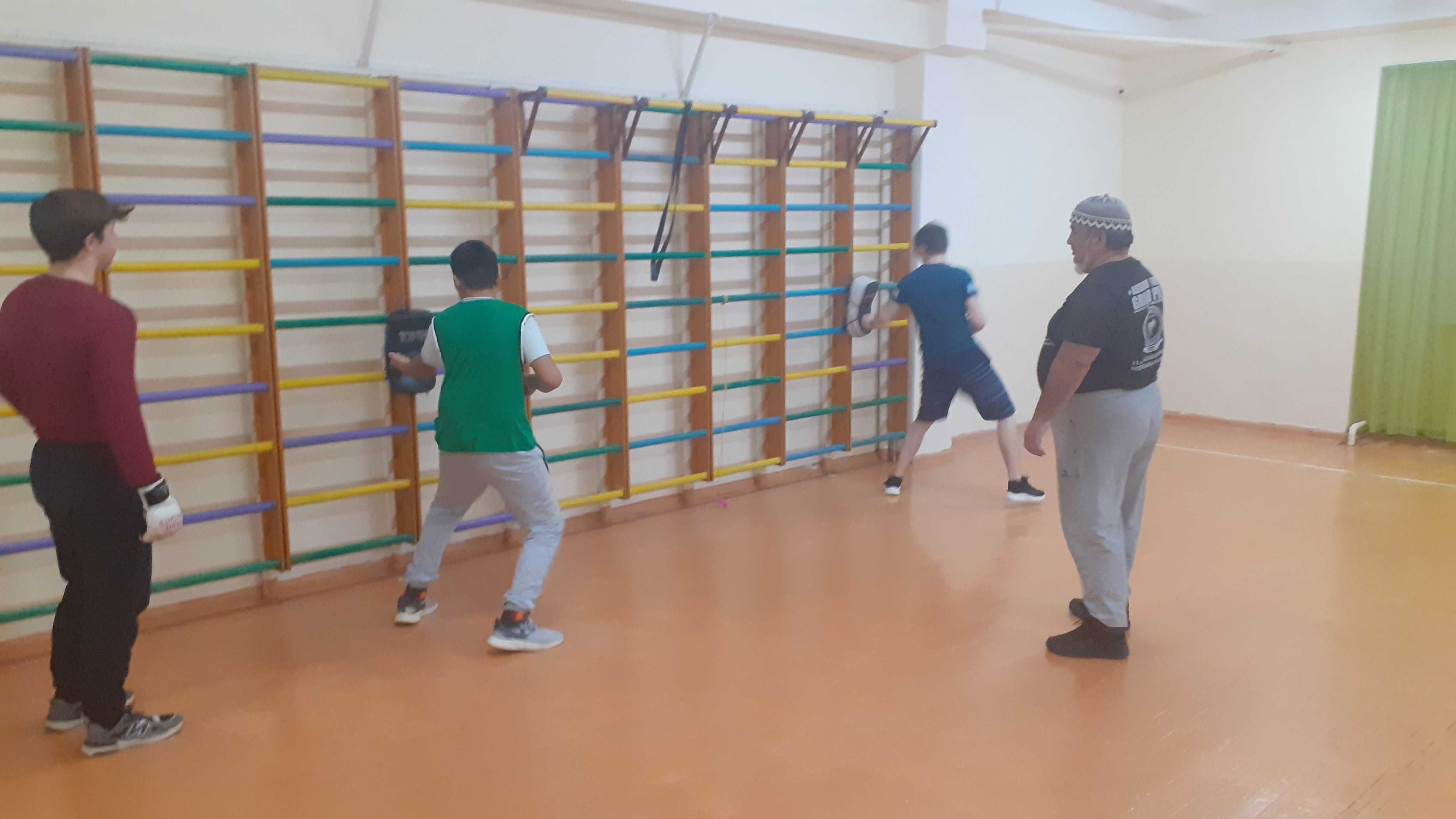 Смешанные Единоборства. Тренировки Бокс, Борьба, Карате