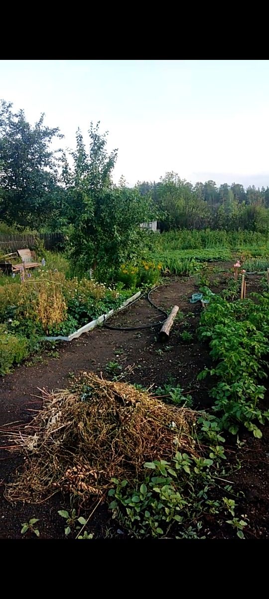 Дача в курортной зоне 10,7 сот