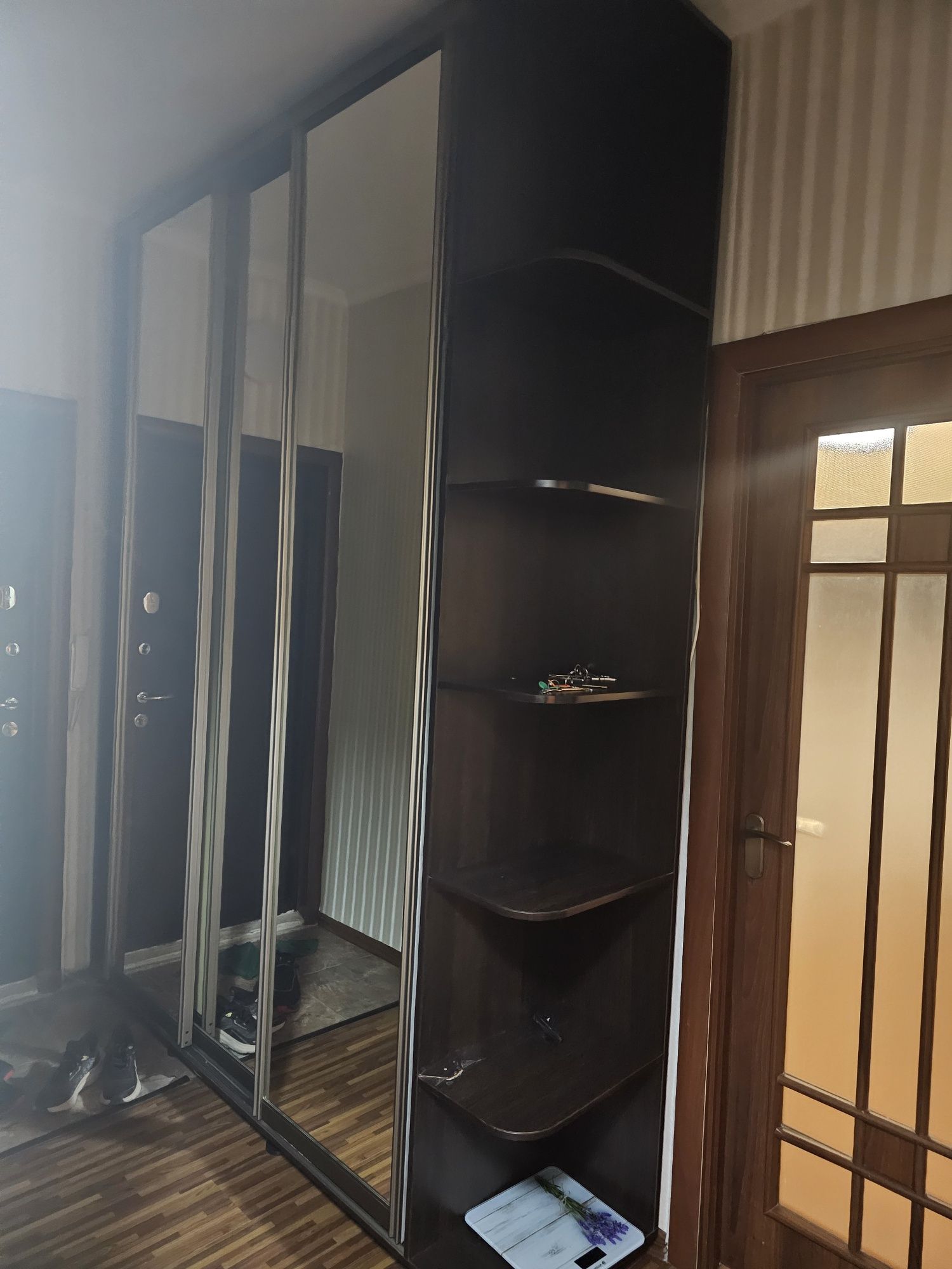 Платиной шкаф раздвижные двери