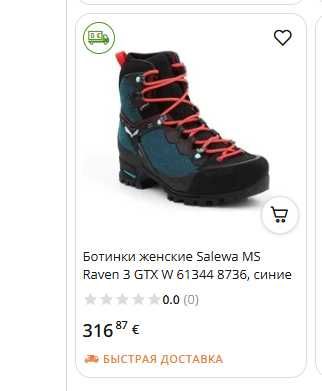 Трекинговые ботинки Raven 3 GTX - Женские, размер 39 (на 38-37)