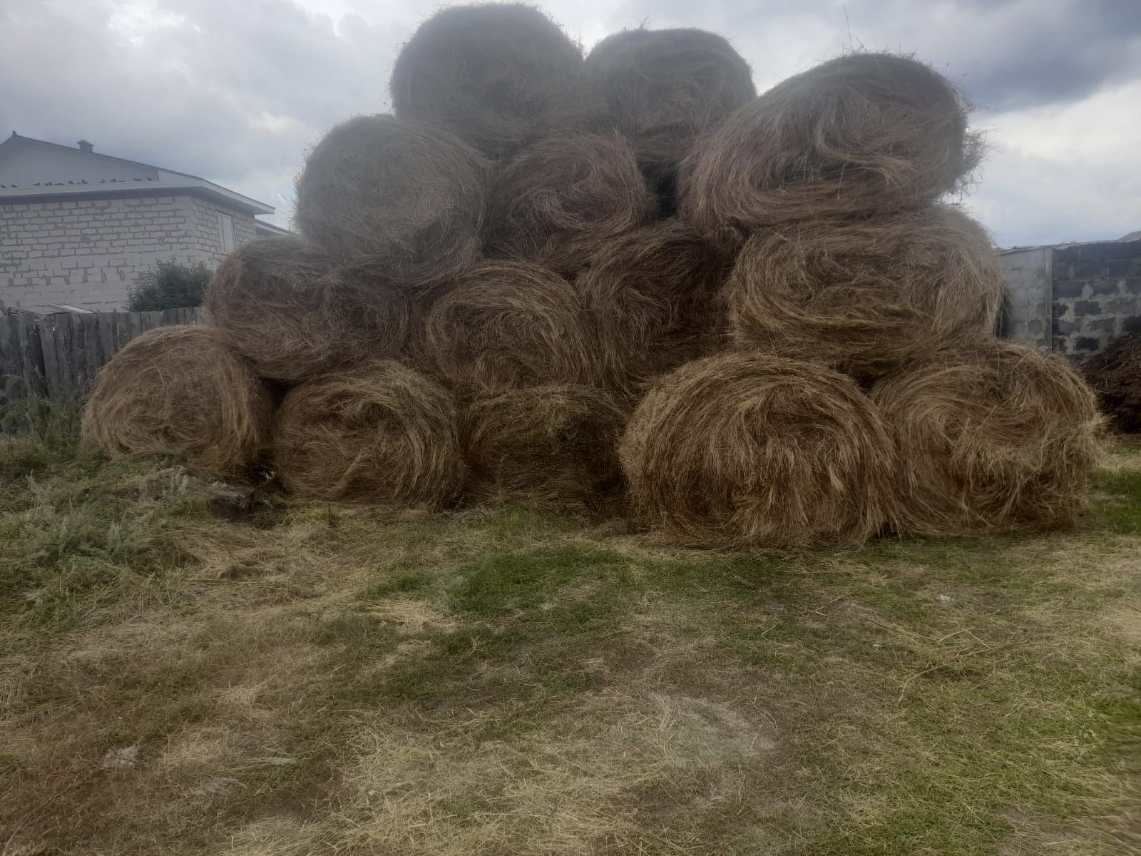 Продам сено в рулонах
