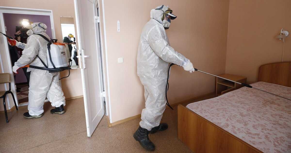 Дезинфекция Помещений Квартир Домы От Тараканаов Клопов Насекомых