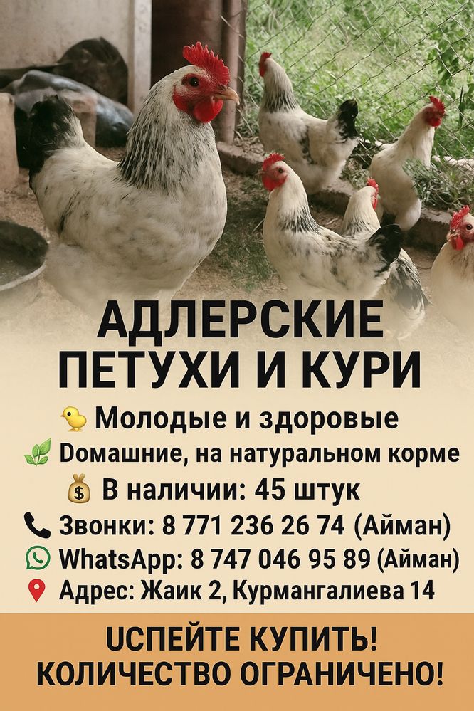 Тауықтар сатылады продается кури