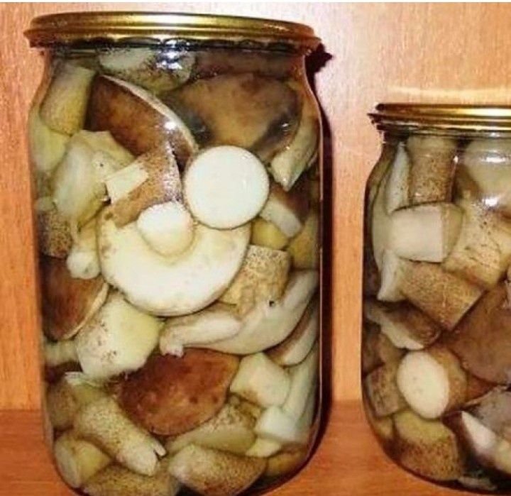 Маслята,подосиновики, подберёзовики