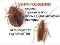 Дезинфекция помещени