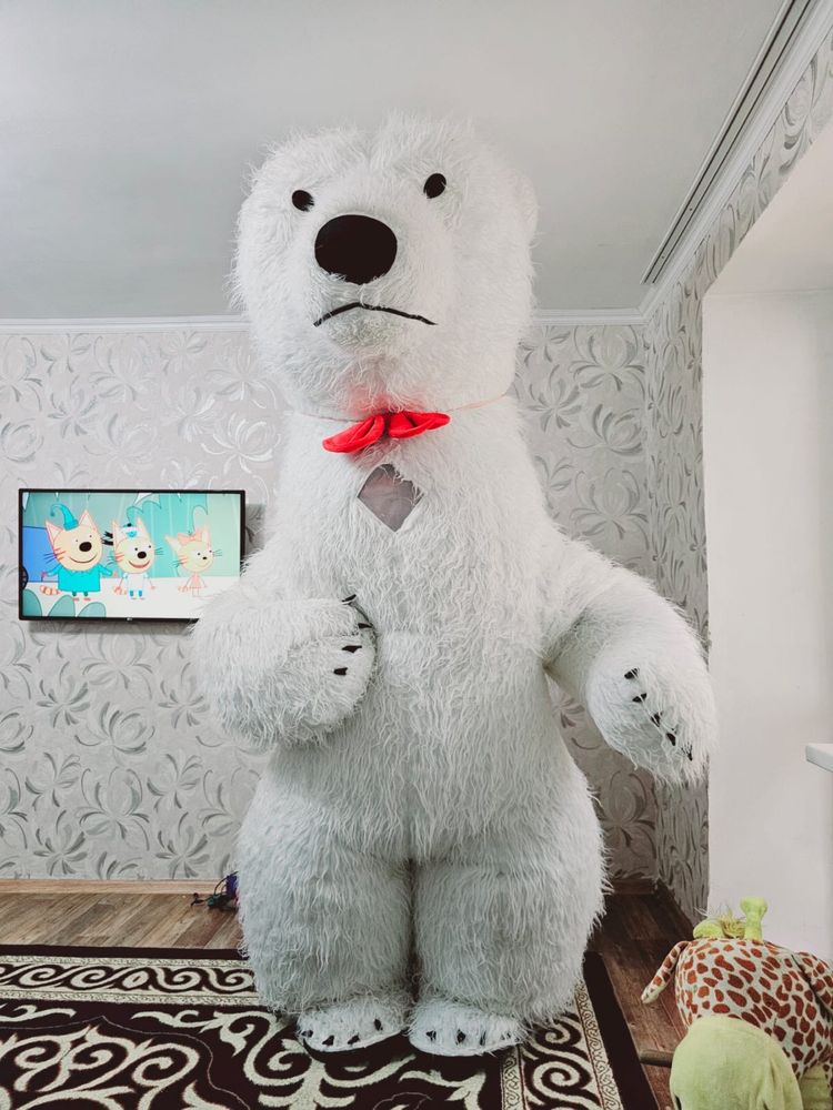 Прокат поздравления