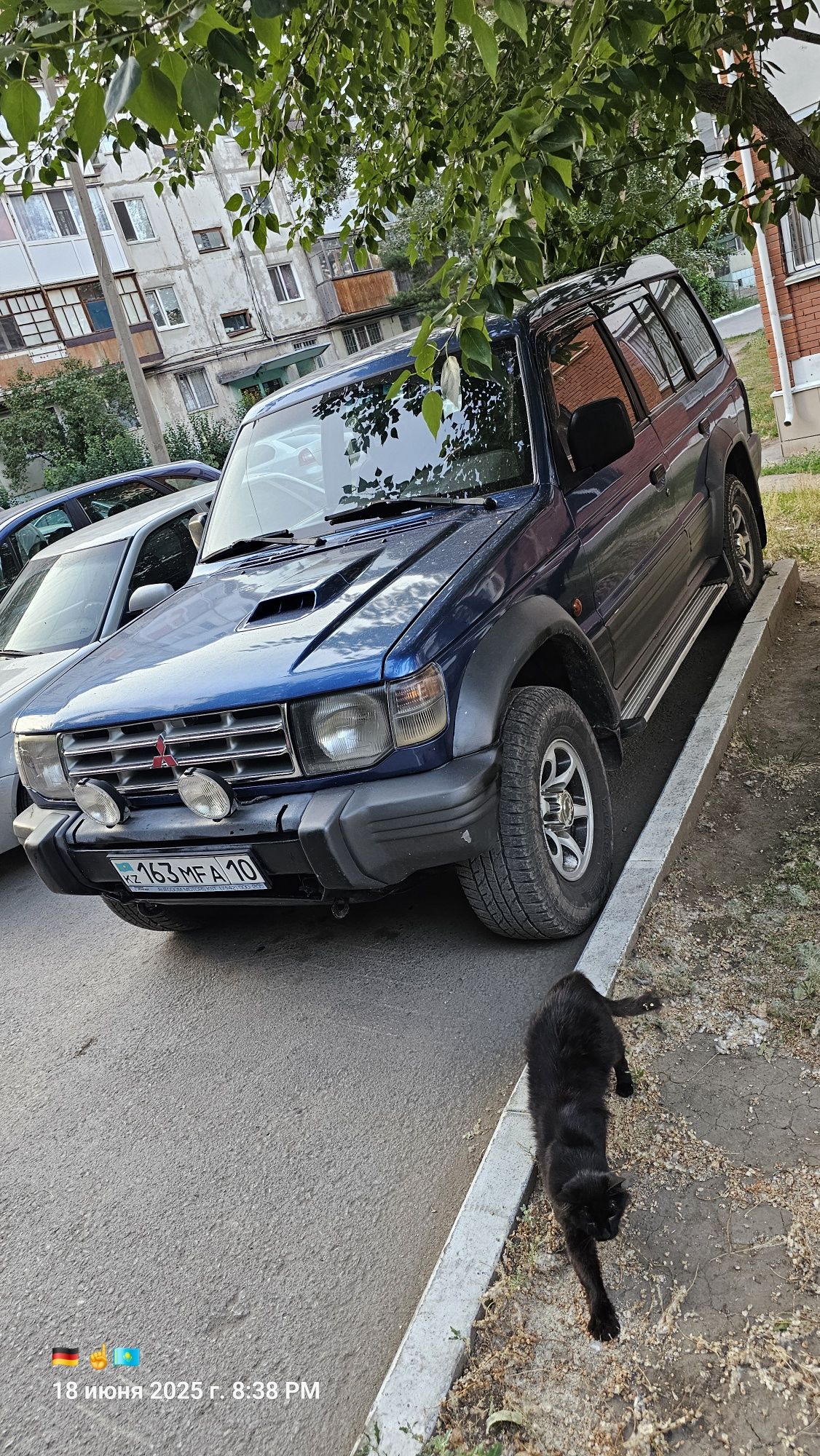 Продам падрежо 2