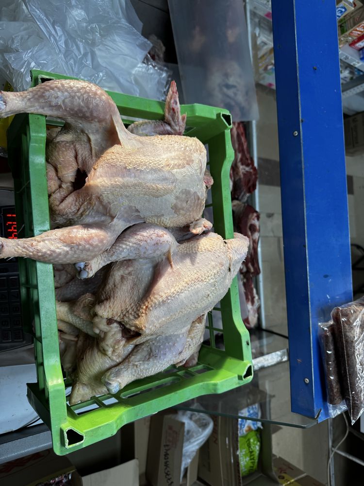 Продам мясо и яйца